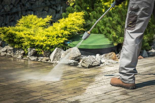Best Pre-Holiday Cleaning  in Chicago, IL
